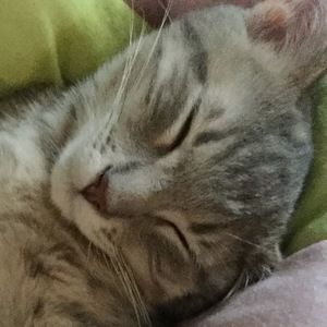 Meet your Posher, Matthew